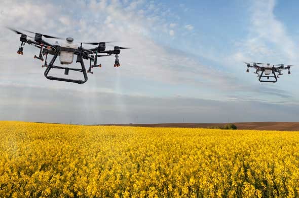 Agri-Tech in the UAE: Industry Landscape 2024-2025