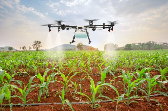 الطائرات بدون طيار في الزراعة - ثورة في مشهد الزراعة
