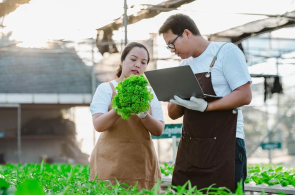 The Role of Artificial Intelligence in Modern Agribusiness