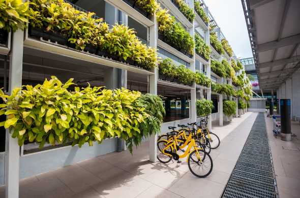 Eco-Friendly Retail Services: How Sustainability Can Attract and Retain Customers