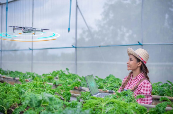 How Generative AI Is Transforming Food and Agriculture in the UAE