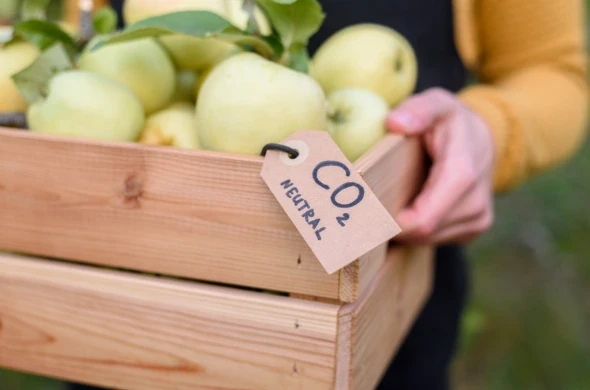 لماذا أصبحت الاستدامة ميزة استراتيجية لشركات التجزئة والسلع الاستهلاكية في السعودية